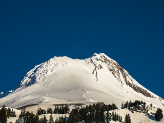 Mt Hood on a clear morning