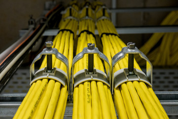 Yellow network cables