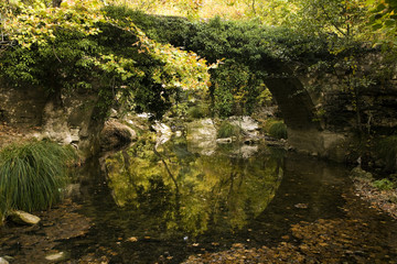 Historical stone arch bridge covered with vegetation Safranbolu Turkey.