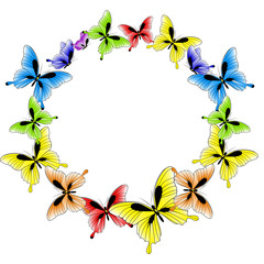beautiful color butterflies,set, isolated  on a white