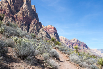 Path in the Nevada Desert