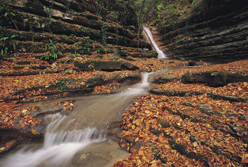 Fall colors and waterfalls, Erfelek Western Black Sea Mountains, Turkey.