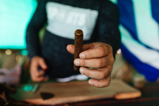 Family run cigar farm in Vinales, Cuba