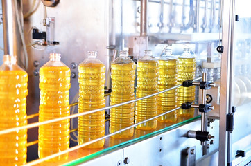 Sunflower oil. Factory line of production and filling of refined oil from sunflower seeds. Factory...