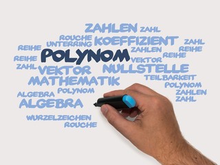 Polynom