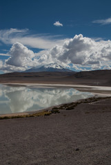 Laguna blanca, Sud Lipez, Bolivia