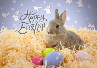 Happy Easter text with Easter rabbit in front of pattern