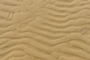Fototapeta na wymiar closeup of wet sand pattern of a beach in the spring