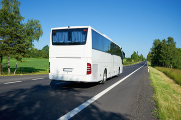 Fototapeta premium The white bus moving on asphalt road lined avenue of trees in a rural landscape on a bright sunny day