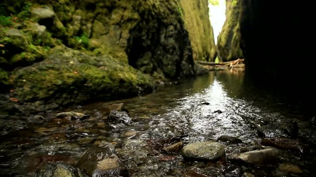 View of Oneonta Gorge Narrows