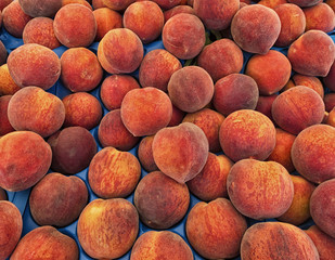 Fruit Display in Market in Amsterdam