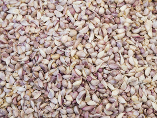 Cloves of garlic at a market