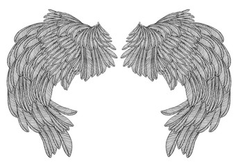 Obraz premium Hand drawn vintage wings pair. Etched woodcut vintage style pair of wing. Sketch vector.
