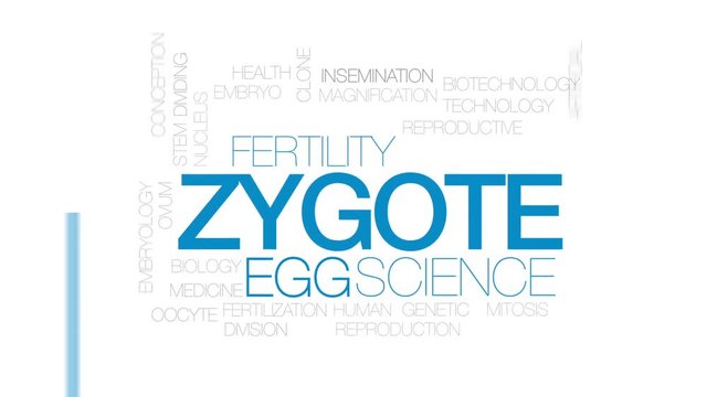 Zygote animated word cloud, text design animation. Kinetic typography.