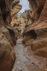 Hiking in  a stream through a slot canyon in southern Utah