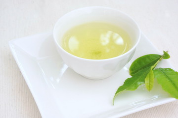 新茶