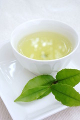 新茶