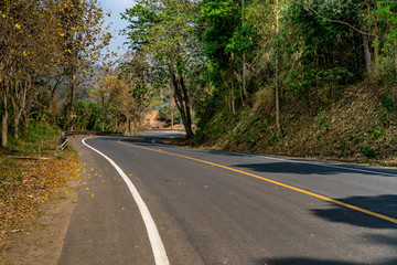 Asphalt Country road