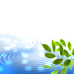 新緑　若葉　エコ　水面