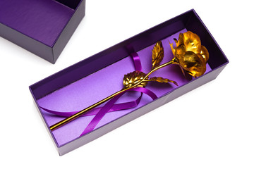 gold rose in a purple prensent box on white background