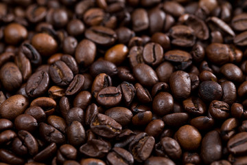 Roasted coffee bean