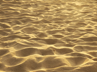 Sand beach texture