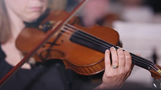  Symphony orchestra during a performance with focus on violinist. 