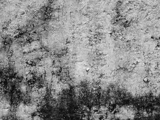 grunge cement texture