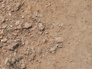 Red Dirt Road texture