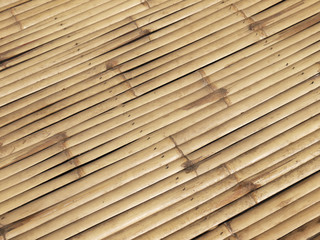 old bamboo texture