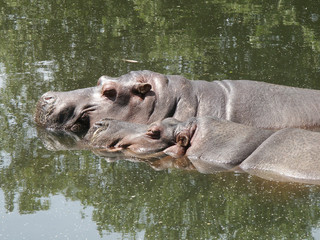 Mother and Child