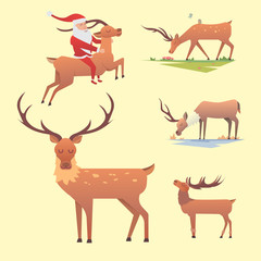 Christmas reindeer holiday mammal deer xmas celebration cute decoration winter art new year wildlife animal and santa man character vector illustration.