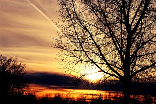 Golden Sunset outside of my house