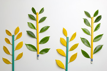 Pencils with leaves. ﬁat lay. nature concept