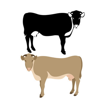 Cow vector illustration style Flat  set