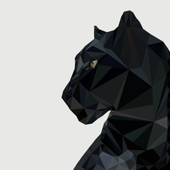 Panther in low - obrazy, fototapety, plakaty