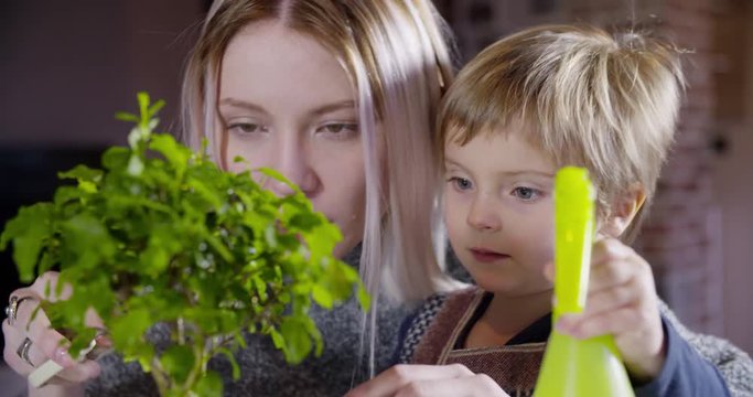 modern family little girl with mom watering bonsai indoor in modern industrial house. caucasian. 4k handheld slow motion detail video shot