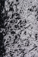 Domestic carpet texture