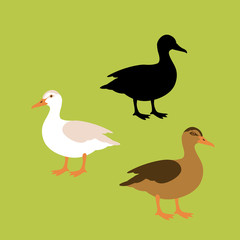 duck vector illustration style Flat black silhouette