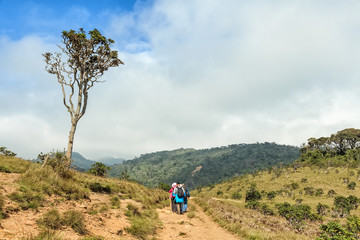 Hikers in scenic savanna path in Sri Lanka