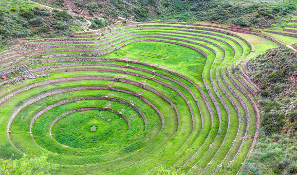 Maras Bilder Durchsuchen 7,706 Archivfotos, und Videos