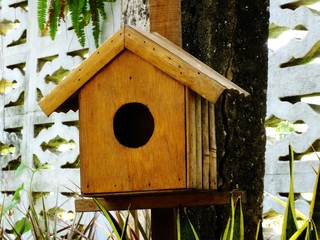 wooden bird house in garden outdoors