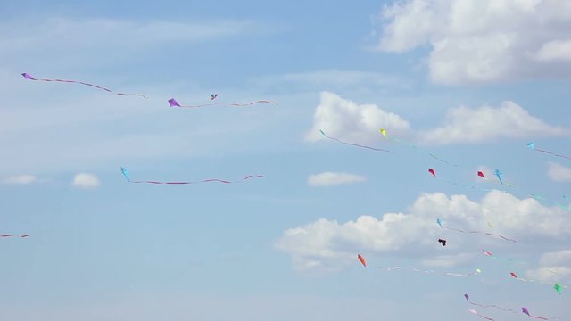 Kites flying