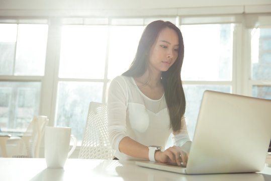 Female Executive Using Laptop At Desk