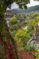 Fototapeta na wymiar T the canyon of the Smotrych River in Kamianets-Podilskyi, Western Ukraine. Trees are showing their autumn colours.