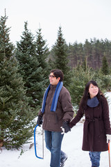 Fototapeta na wymiar Mixed race couple searching for and cutting down a Christmas Tree