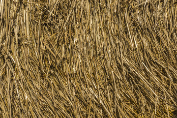 Closeup of straw background