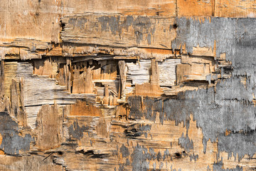 grunge Broken plywood for abstract background