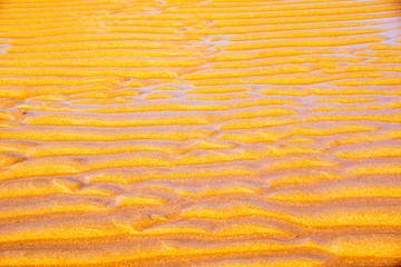 Sandstrand Northumberland