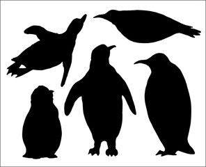 set of isolated hand drawn pinguin silhouettes